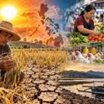 Super El Niño and Philippine Agriculture: What Small Farmers, Retailers, and Businesses Must Do to Survive—and Thrive